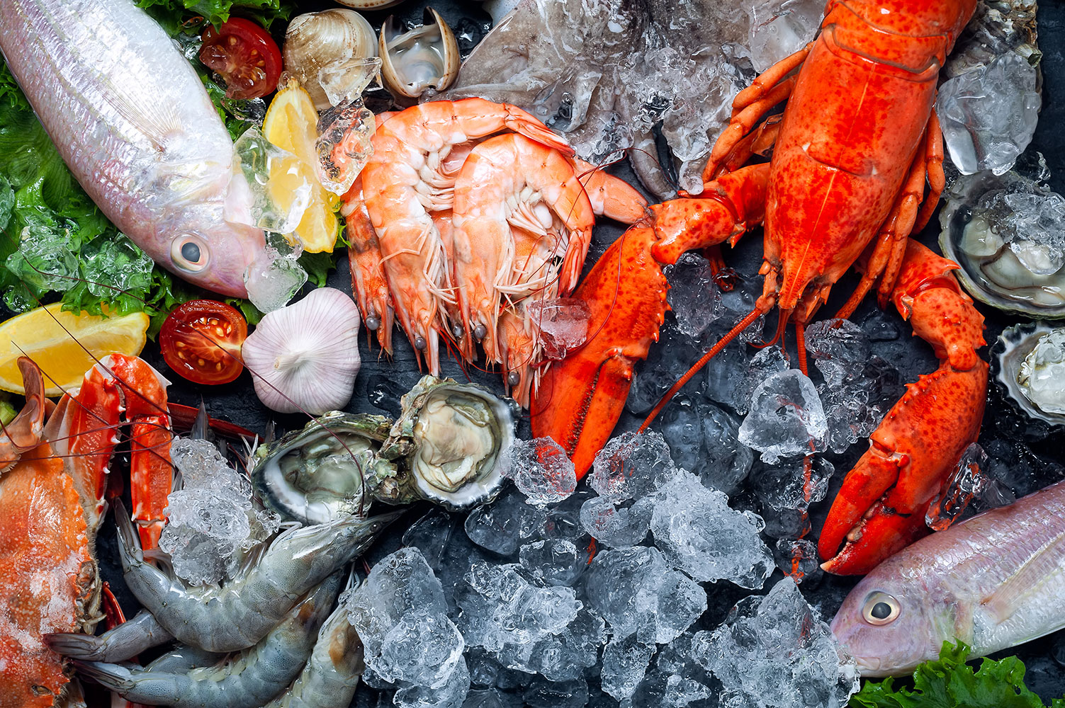 frozen chicken for sale, frozen chicken suppliers, chicken eggs for sale, frozen chicken feet for sale, frozen pork for sale, frozen beef supplier, Buy Lobster Online, frozen beef supplier, halal frozen chicken supplier, halal frozen chicken supplier, buy frozen chickne online,