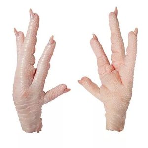 Brazil frosty Foods | Frozen Chicken Thighs Frozen Chicken Paw