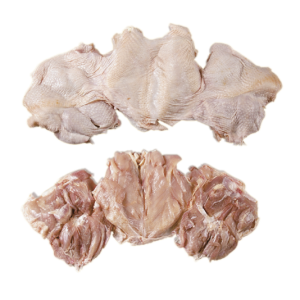 Brazil frosty Foods | Frozen Chicken Thighs halal frozen chicken supplier